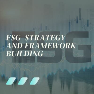 ESG Strategy and Framework Building