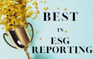 BDO Best in ESG Reporting Award 2023