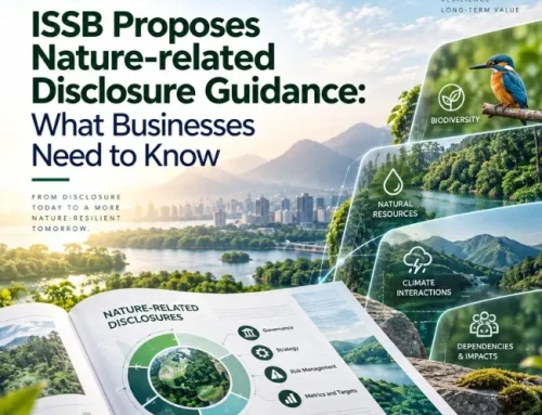 ISSB Proposes Nature-related Disclosure Guidance: What Businesses Need to Know